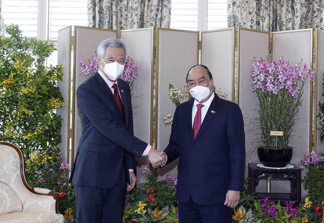 Chuyến thăm Singapore của Chủ tịch nước thành công tốt đẹp, thúc đẩy mạnh mẽ quan hệ Đối tác Chiến lược - Ảnh 3.