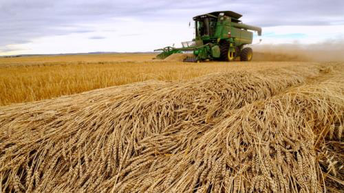 Ngành nông nghiệp châu Âu lao đao vì xung đột tại Ukraine - Ảnh 1.