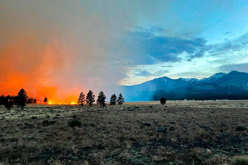 Gió thổi mạnh làm bùng phát cháy rừng ở vùng Tây Nam nước Mỹ - Ảnh 2.
