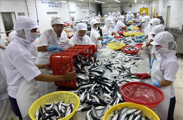
The factory of the Khanh Hoa Seafood Exporting JSC, based in Nha Trang city (Photo: VNA)
