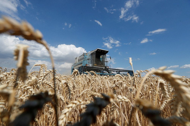 Ukraine hủy giấy phép xuất khẩu lúa mỳ - Ảnh 1.