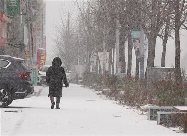 Đợt lạnh sâu càn quét nhiều vùng ở Hàn Quốc - Ảnh 1.