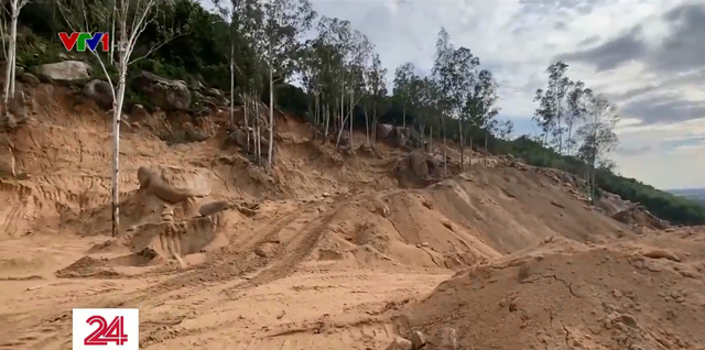 Phá rừng phòng hộ trên núi Thị Vải, 3 người bị phạt gần 600 triệu đồng - Ảnh 1.