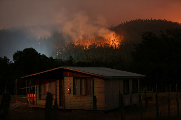 Ít nhất 24 người tử vong ở Chile khi cháy rừng lan rộng - Ảnh 1.