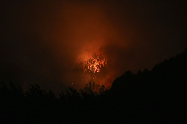 Ít nhất 24 người tử vong ở Chile khi cháy rừng lan rộng - Ảnh 2.