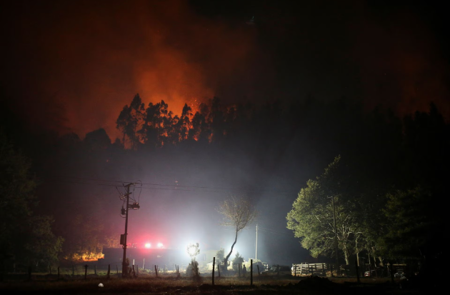 Ít nhất 24 người tử vong ở Chile khi cháy rừng lan rộng - Ảnh 4.