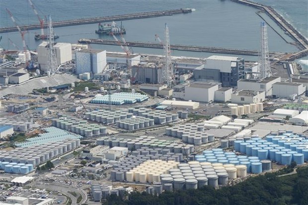 Nhật Bản tiếp tục khắc phục sự cố hạt nhân Fukushima - Ảnh 1.