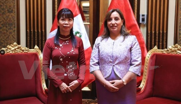 
Outgoing Vietnamese Ambassador to Brazil and Peru Pham Thi Kim Hoa (L) and President of Peru Dina Boluarte (Photo: VNA)
