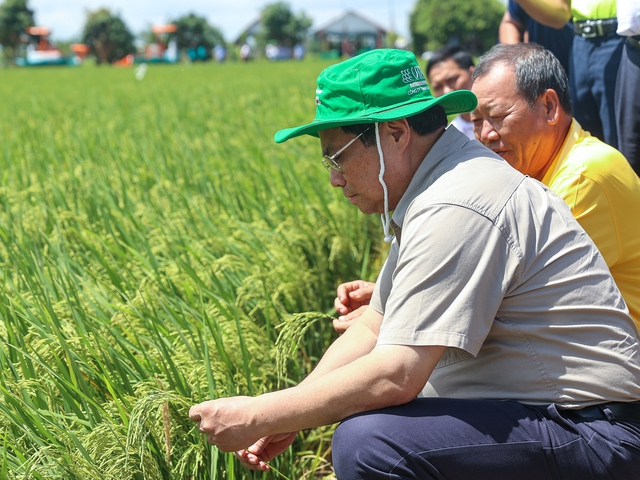 Thông điệp của Thủ tướng Phạm Minh Chính tại Festival quốc tế ngành hàng lúa gạo - Ảnh 2.