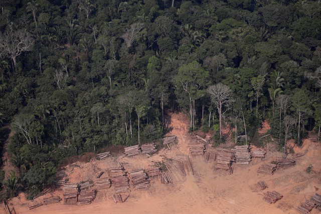Hội nghị COP28: Brazil đề xuất lập quỹ bảo tồn rừng nhiệt đới trị giá 250 tỷ USD - Ảnh 1.