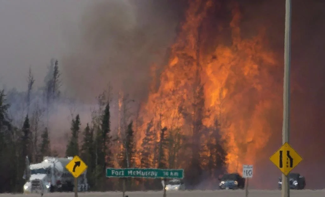 Cháy rừng lan rộng, tỉnh Alberta (Canada) buộc phải ngừng sản xuất dầu  - Ảnh 1.