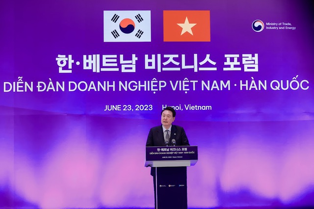 Thủ tướng: Kỳ vọng hợp tác kinh tế Việt Nam - Hàn Quốc đạt kết quả gấp 3, 4 lần hiện nay - Ảnh 3.