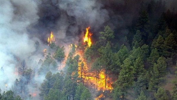 Cháy rừng nghiêm trọng ở Arizona, trên 1.100 người phải sơ tán - Ảnh 1.