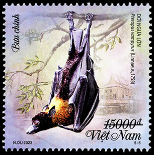 Phát hành bộ tem bưu chính về loài dơi - Ảnh 5.