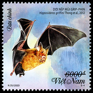 Phát hành bộ tem bưu chính về loài dơi - Ảnh 4.