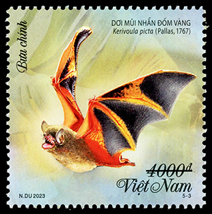 Phát hành bộ tem bưu chính về loài dơi - Ảnh 3.