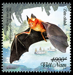 Phát hành bộ tem bưu chính về loài dơi - Ảnh 2.