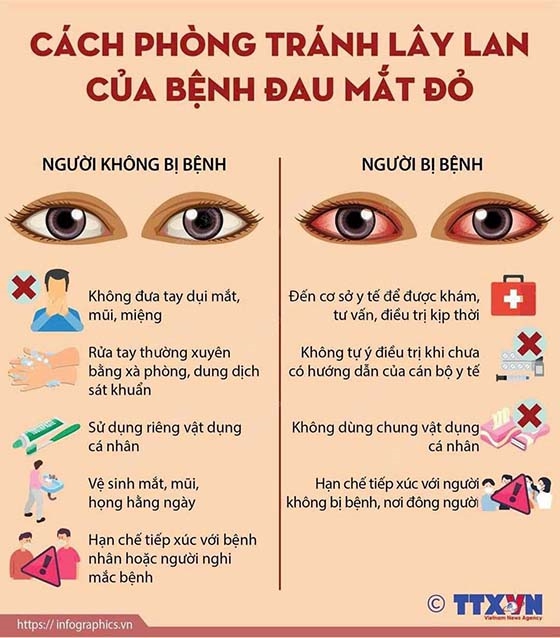 Số ca đau mắt đỏ tăng đột biến tại Bà Rịa - Vũng Tàu và Hà Tĩnh - Ảnh 2.