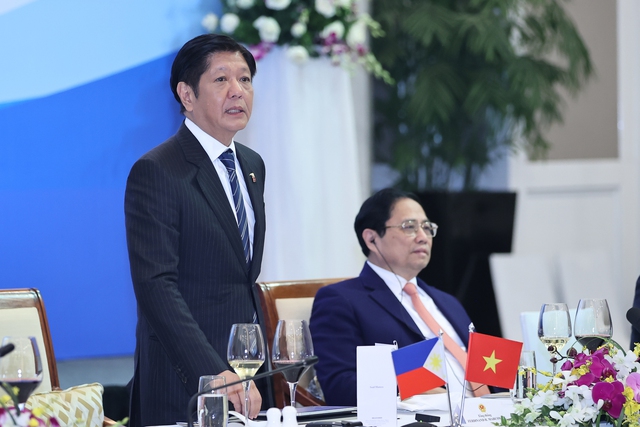 Việt Nam và Philippines “vừa hợp tác, vừa cạnh tranh” về kinh tế  - Ảnh 5.