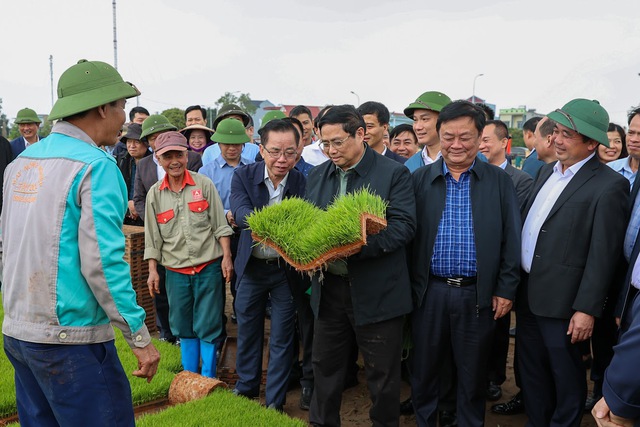 Thủ tướng xuống đồng cấy hái cùng nông dân, động viên sản xuất nông nghiệp - Ảnh 1.