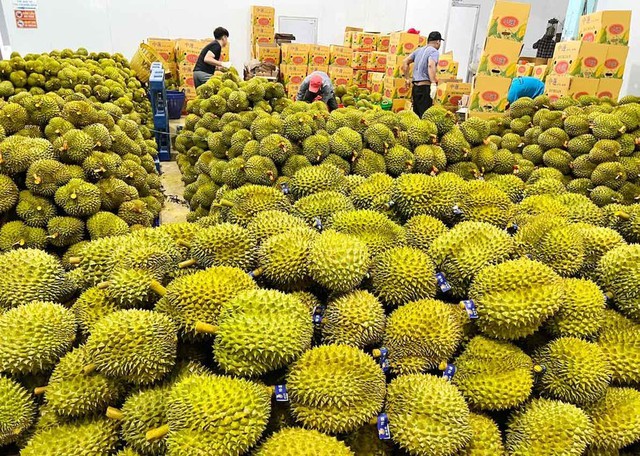 Rộng cửa” cho trái cây Việt Nam sang thị trường Trung Quốc - Ảnh 1.