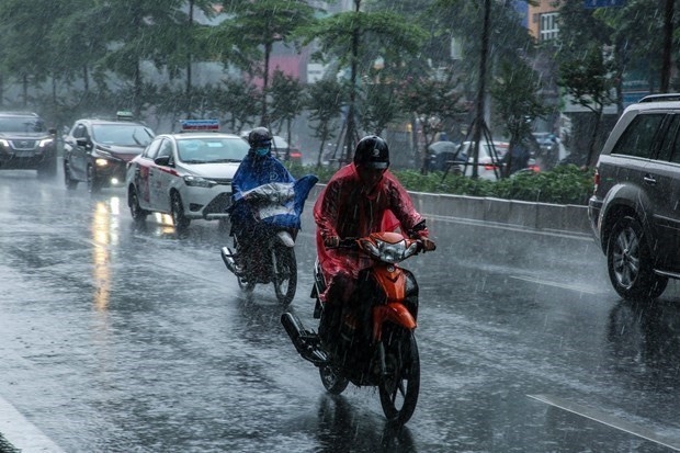 Đêm 1/3, khu vực từ Quảng Bình - Khánh Hòa có mưa dông vài nơi - Ảnh 1.