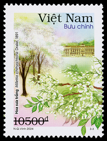 Hoa đào, hoa ban xuất hiện trong bộ tem đầu tiên chủ đề Hà Nội 12 mùa hoa - Ảnh 3.