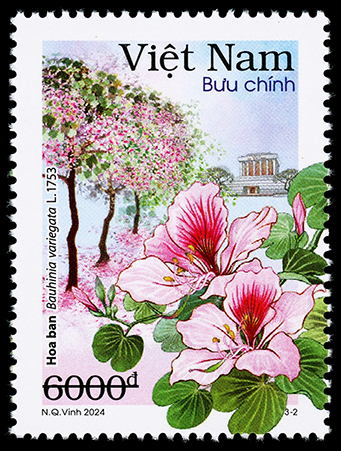 Hoa đào, hoa ban xuất hiện trong bộ tem đầu tiên chủ đề Hà Nội 12 mùa hoa - Ảnh 2.