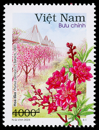Hoa đào, hoa ban xuất hiện trong bộ tem đầu tiên chủ đề Hà Nội 12 mùa hoa - Ảnh 1.