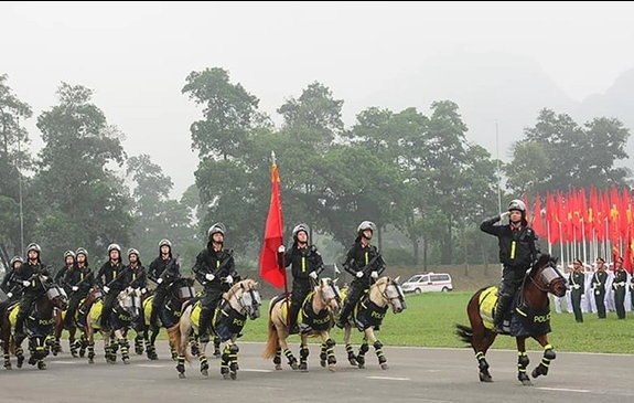 Ảnh: Hợp luyện diễu binh, diễu hành kỷ niệm 70 năm Chiến thắng Điện Biên Phủ - Ảnh 8.