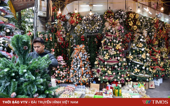 Top 10 Địa chỉ bán bán cây thông tươi trang trí Noel rẻ nhất