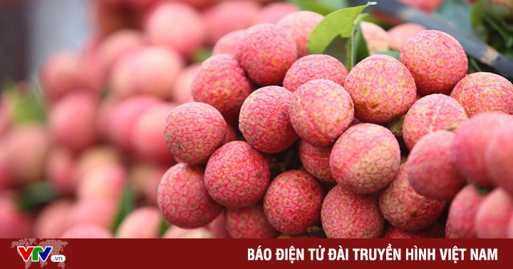 Putting thousands of tons of lychee on the e-commerce platform