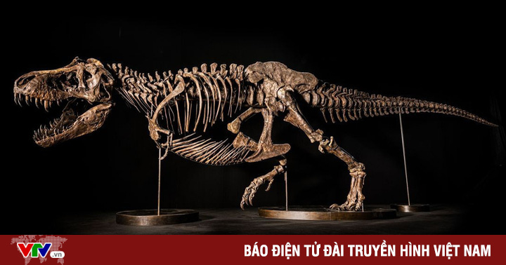 2500 萬美元的 T.rex 骨架拍賣因爭議而取消
