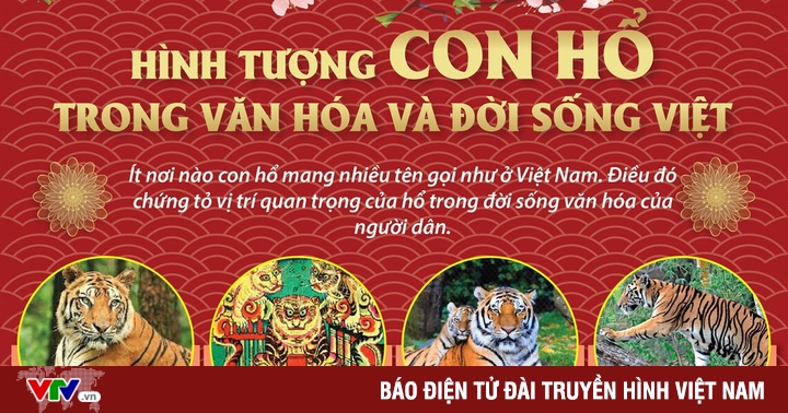 Hình Tượng Con Hổ Trong Văn Hóa Và Đời Sống Việt | Vtv.Vn