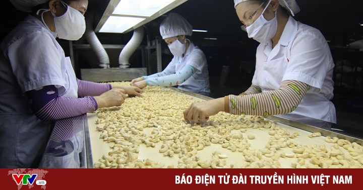 Proposal to soon support businesses that lose control of 36 cashew containers