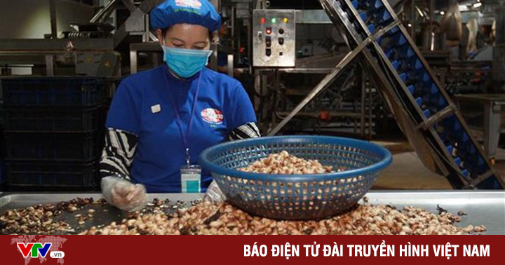 The case of 100 containers of cashew nuts: Continue to gain control of some more containers