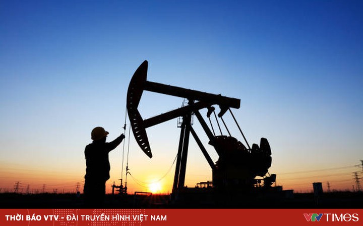 Oil prices plummeted |  VTV.VN