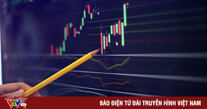 Deputy Prime Minister asked to strictly handle violations on the stock market