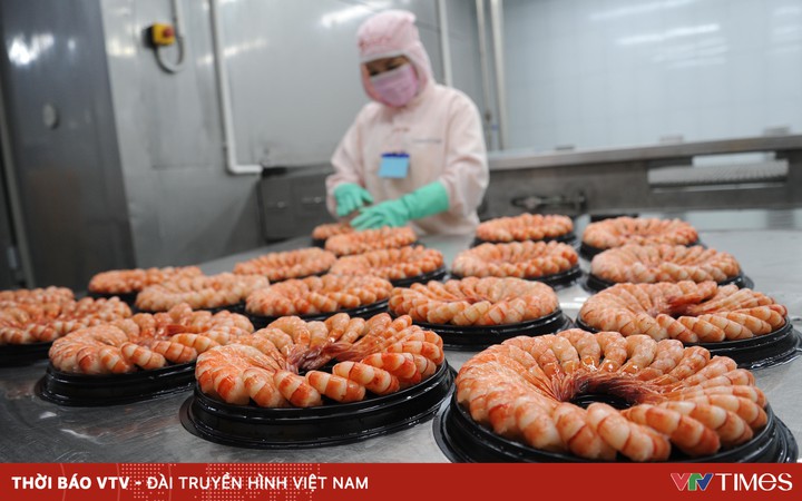 Shrimp exports are favorable, farmers are excited