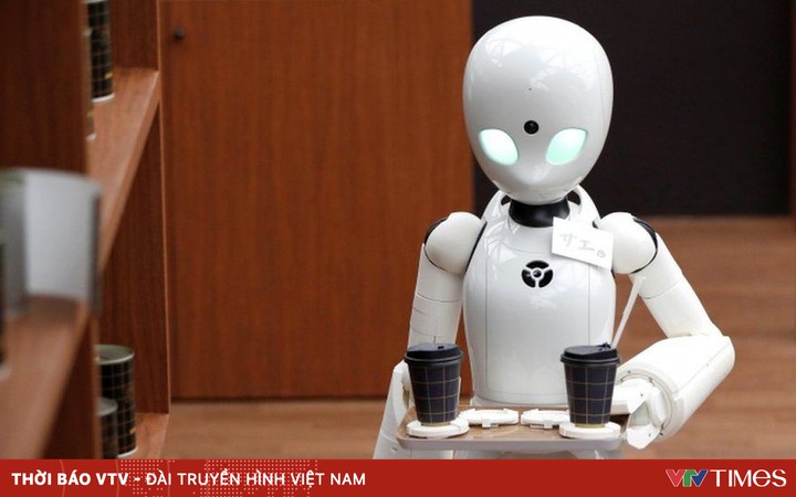 The era of service robots in Japan