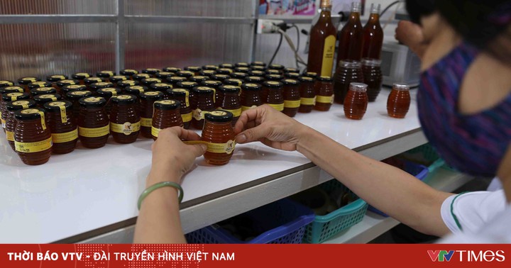 US sharply reduces anti-dumping tax on Vietnamese honey: Beekeepers and businesses “breathe”?