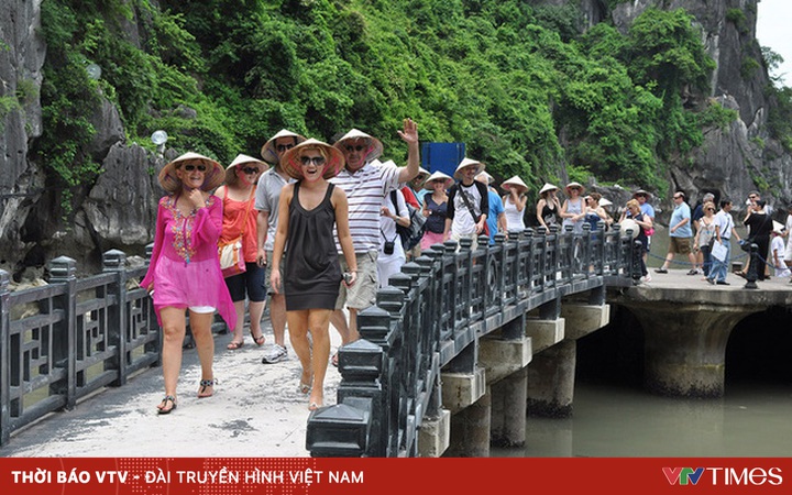 Search volume for Vietnam tourism skyrocketed