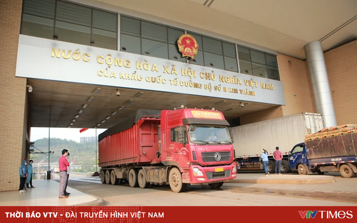 Import and export through Lao Cai border gate gradually recovered