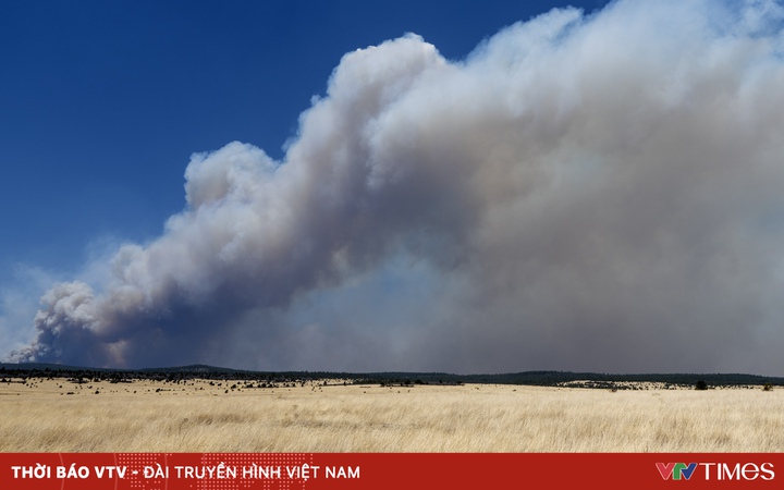 USA: Record wildfire broke out out of control in New Mexico state
