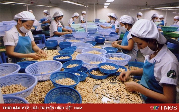 The case of 100 containers of cashew nuts: Continued positive developments