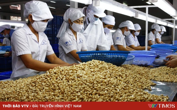 The case of 100 containers of cashews exported to Italy: Initial progress