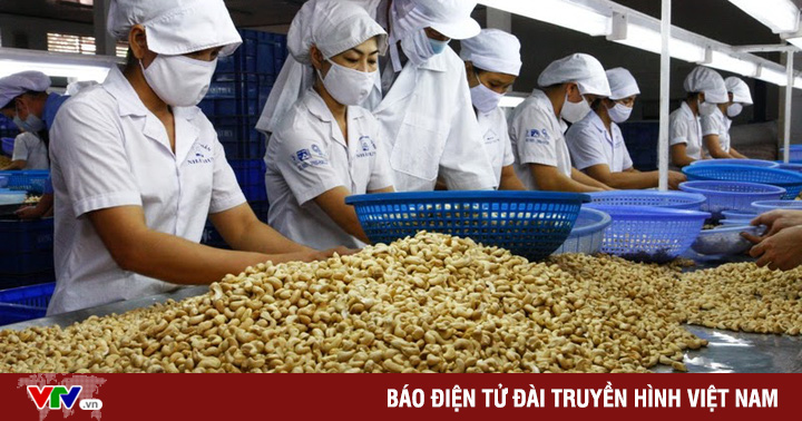 The case of 100 containers of cashews exported to Italy: Initial progress