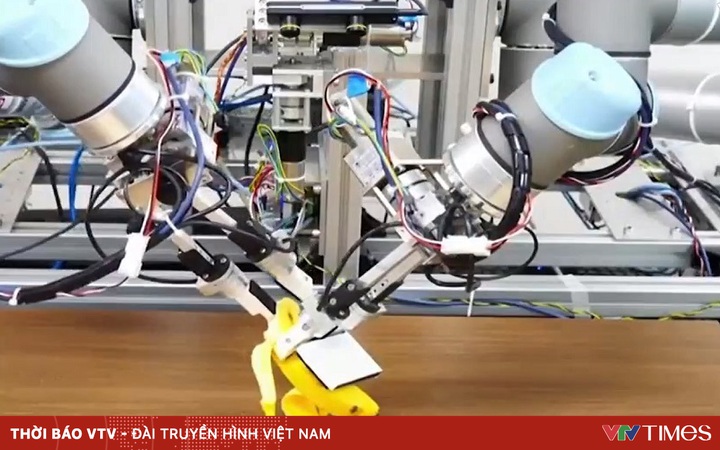 Banana peeler robot developed by Japan