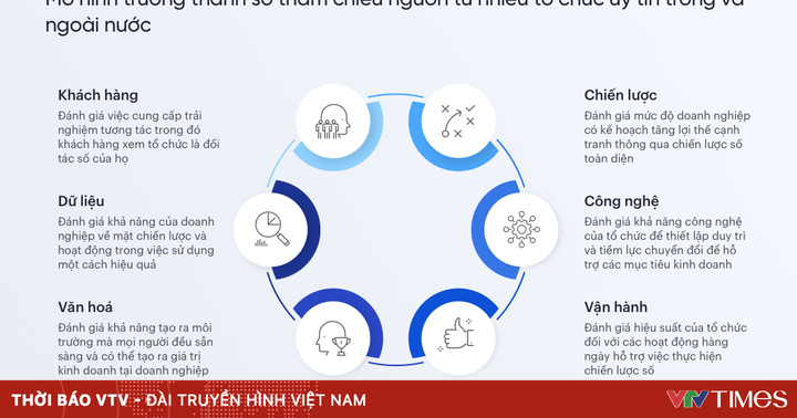 Service of assessing the level of digital maturity of businesses