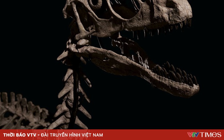 Fossil that ‘inspires’ Jurassic Park movie sells for 12 million USD